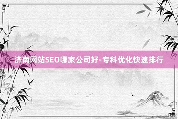 济南网站SEO哪家公司好-专科优化快速排行